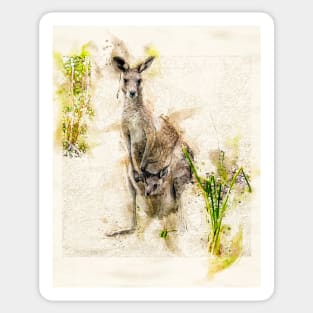 Australian Kangaroo and Baby Joey Sticker